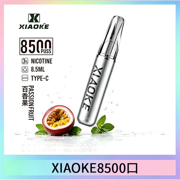 XIAO8500